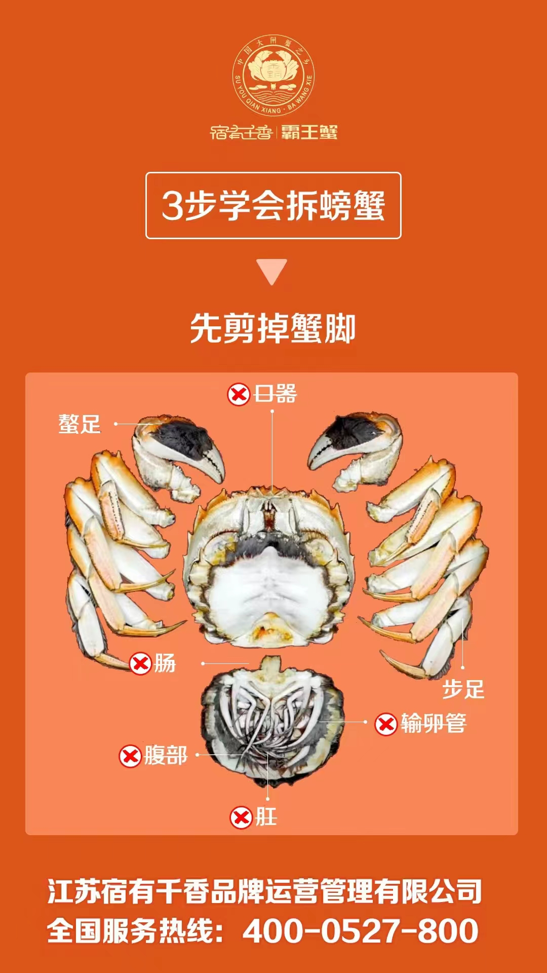 微信图片_20241122105954.jpg