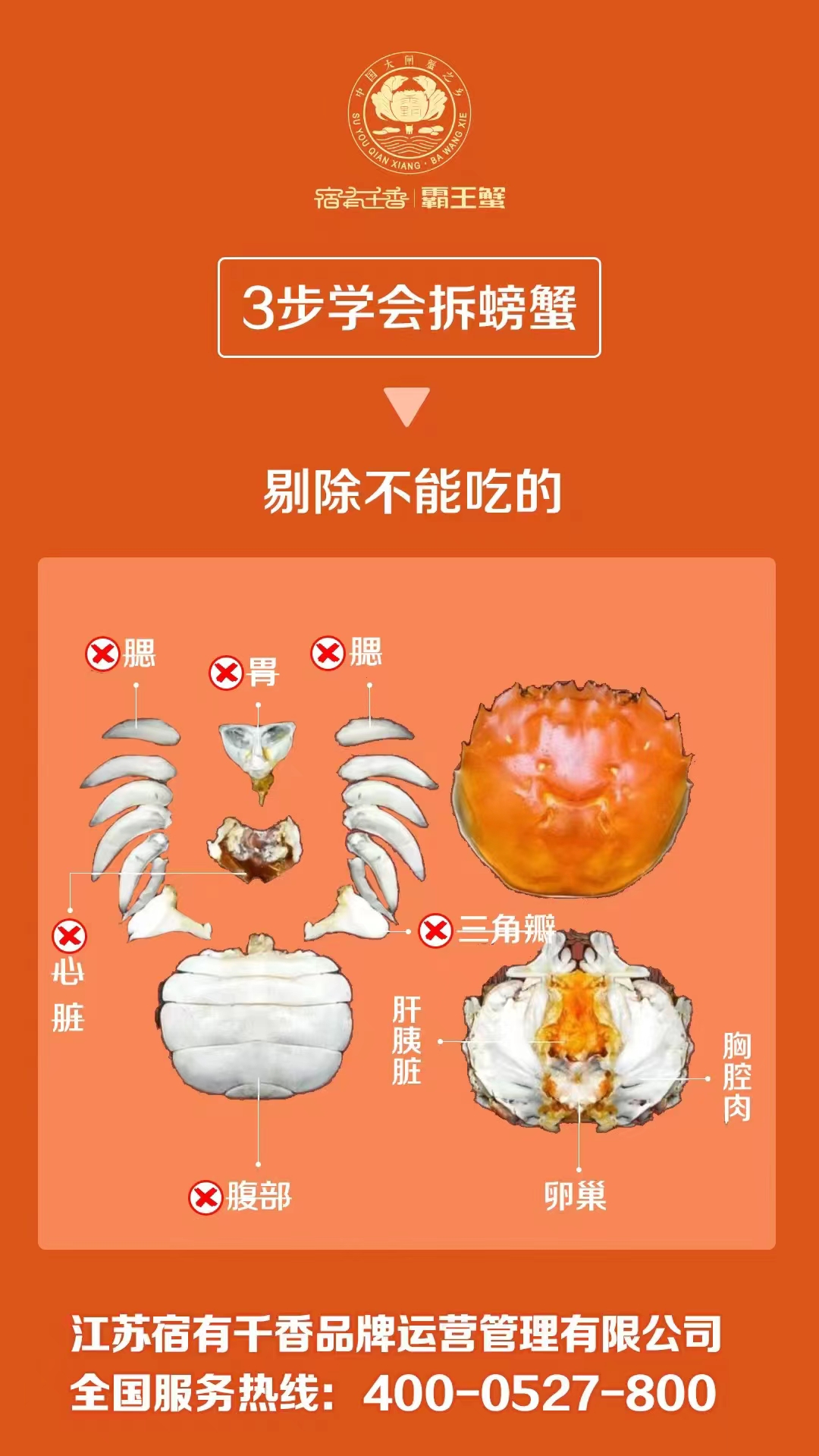 微信图片_20241122105949.jpg